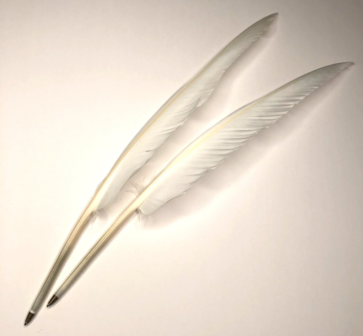 White Ostrich Feather Quill Pen